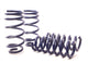 H&R 11-14 Dodge Charger RT (2wd) RT MAX V8 Sport Spring - My Store