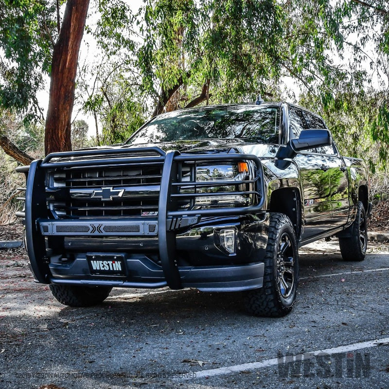 Westin 16-18 Chevy Silverado 1500 Sportsman X Grille Guard - Textured Black - Mammoth Racing -