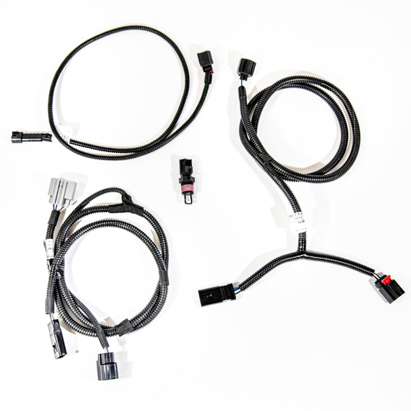 VMP Performance 11-14 Coyote 5.0L SC PnP Harness Kit (MAF IAT) - My Store