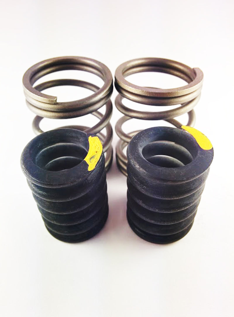 DDP Dodge 94-98 P-7100 Competition Governor Springs (5500 RPM) - Mammoth Racing -