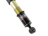 Skunk2 12-13 Honda Civic Si Pro ST Coilovers - Mammoth Racing -