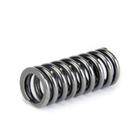 Skunk2 Alpha Series Honda D Series Vtec Valve Spring Set - Mammoth Racing -