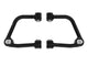 Icon 21+ Ford Bronco Tubular Upper Control Arm Delta Joint Kit - Mammoth Racing -