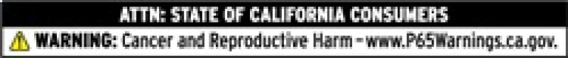 N-Fab 15-18 Dodge Ram 1500 EPYX Nerf Steps - Textured Black - Mammoth Racing -
