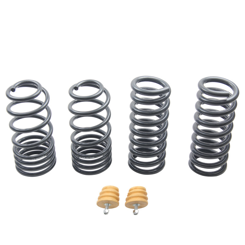 ST Sport-tech Lowering Springs Ford Mustang 3rd gen. / 4th gen. - My Store