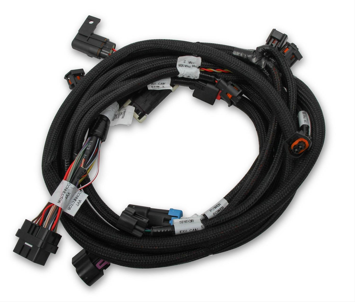 Holley 558125 Harness - My Store