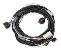 Holley 558470 Harness - My Store