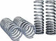 ST Muscle Car Springs Chevrolet Camaro Malibu Monte Carlo / Buick Regal Grand National T-Type - My Store