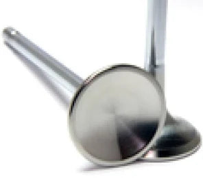 GSC P-D Subaru/Scion FA20 Chrome Polish Exhaust Valve - 30mm Head (+1mm) - Set of 50 - GT3 Racing