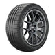 Pirelli Trofeo R Tire - 285/40R22 XL 110Y (L) - My Store