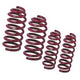 Vogtland 952048 Lowering Springs - My Store