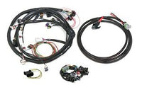 Holley EFI 558-508 Injector Harness Fits w/Dominator Or HP ECU Bosch Injector Incl. - My Store