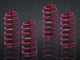 Vogtland 950035 Lowering Springs - My Store