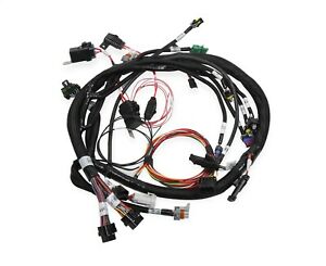 Holley EFI 558-117 Universal Coil On Plug Harness Plug And Play Harness For Use w/PN[558-312/558-318] Universal Coil On Plug Harness - My Store