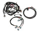 Holley EFI 558-501 Fuel Injection Wire Harness For Use w/HP Or Dominator - My Store