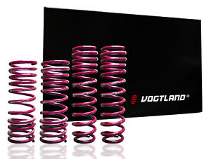 Vogtland 950002 Lowering Springs - My Store
