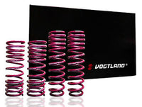 Vogtland 950002 Lowering Springs - My Store