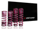 Vogtland 950002 Lowering Springs - My Store
