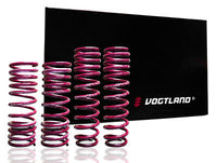 Vogtland 951668 Lowering Springs - My Store