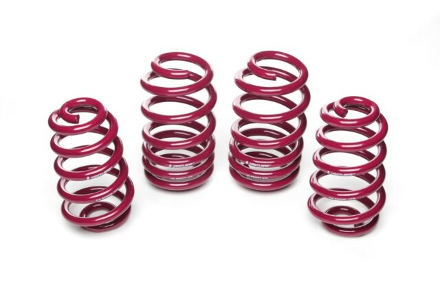 Vogtland 951665 Sport Lowering Spring Kit - My Store