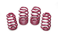 Vogtland 951665 Sport Lowering Spring Kit - My Store