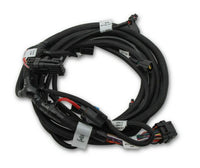 Holley 558124 Harness - My Store
