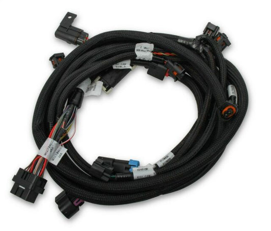Holley 558125 Harness