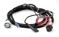 Holley 558-405 Fuel Injection Wire Harness - My Store