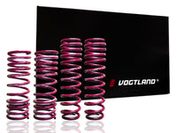 Vogtland 950086 Sport Lowering Spring Kit Coil Springs Fits: Audi A4 Type 8E 6 - My Store