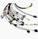 Rywire 13B Haltech Mil-Spec Eng Harness w/Chassis Specific Adapter - My Store