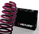 Vogtland 950046 Lowering Springs - My Store