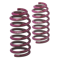 Vogtland 951745 Sport Lowering Spring Kit - My Store
