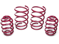 VOGTLAND 953130 Lowering Spring - My Store
