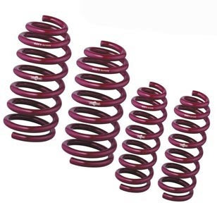 Vogtland 951747 Sport Lowering Spring Kit - My Store