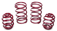 Vogtland 951663 Lowering Springs - My Store